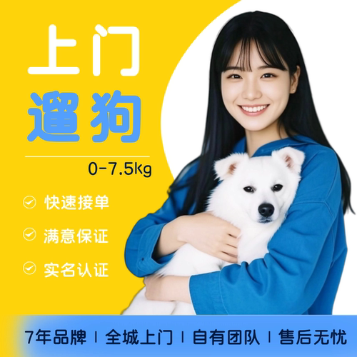 小布在家上门遛狗上门喂养代遛狗