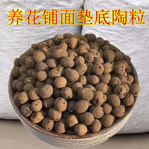 防烂根透气花卉陶粒花盆垫底