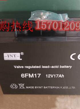 德国INT蓄电池6FM17 全新12V17AH 直流屏 UPS机房 EPS消防主机用