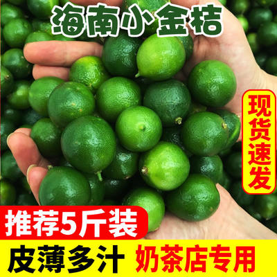 小金桔海南小青桔新鲜榨汁专用