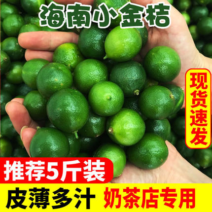 海南金桔小青柠小金桔新鲜小金橘小青桔水果青柠鲜果柠檬奶茶专用