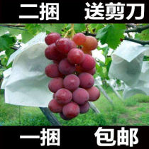 套袋 纸袋梨袋 葡萄套袋 露天葡萄袋子 防虫袋 葡萄保护袋 葡萄袋