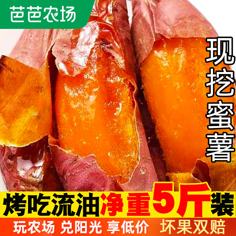 新鲜蜜薯5斤农家香薯板栗黄心地瓜烟薯糖心小番薯山芋沙地红薯 10