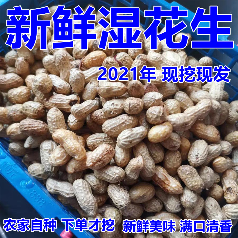 新鲜湿花生现挖现发2022年粉红皮可水煮包邮农家自种带壳生花生