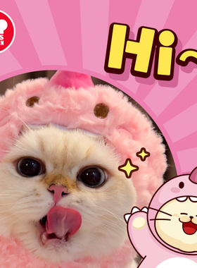 地狱厨房Hell's Kitchen可爱小猫咪帽子粉色恐龙逗猫宠物玩具用品