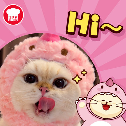 地狱厨房Hell's Kitchen可爱小猫咪帽子粉色恐龙逗猫宠物玩具用品