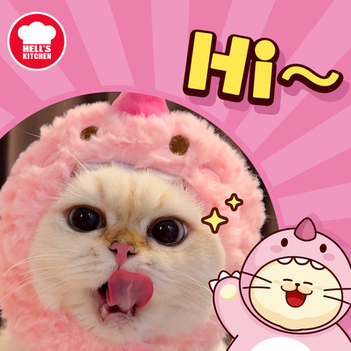 地狱厨房Hell's Kitchen可爱小猫咪帽子粉色恐龙逗猫宠物玩具用品