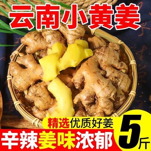 云南小黄姜农多鲜辛辣十足