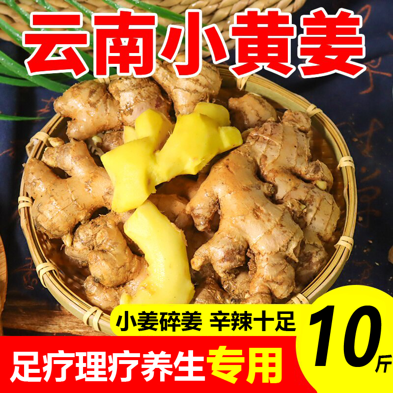 云南小黄姜碎姜小姜新鲜生姜高山老姜包邮足疗理疗养生专用