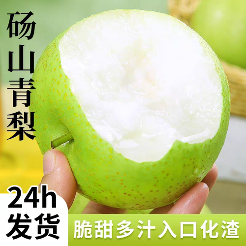 梨子砀山青梨当季水果新鲜现挖安徽砀山青梨现摘现发