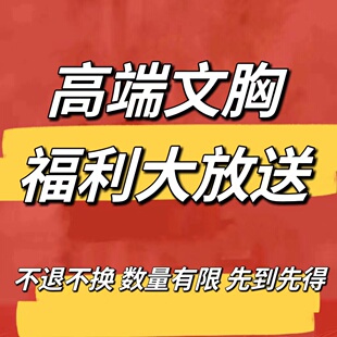文胸 不退不换 拍下就代表接受