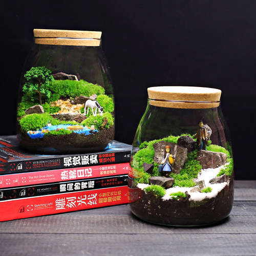 水滴苔藓植物盆栽景观生态室内