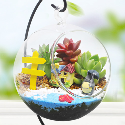 12cm多肉微景观生态瓶小摆件
