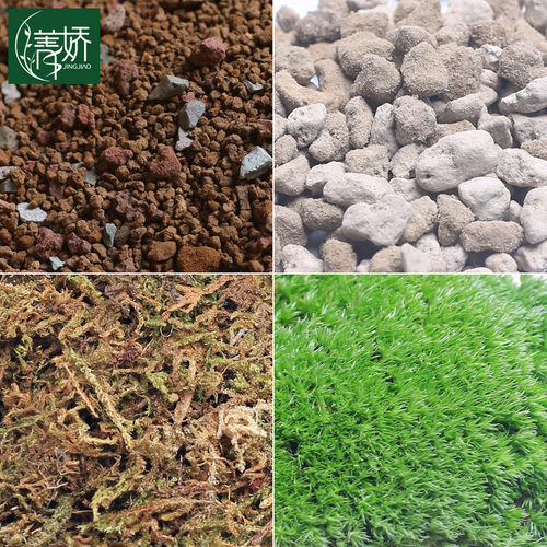 多肉肉植物绿植花卉育苗基质园艺