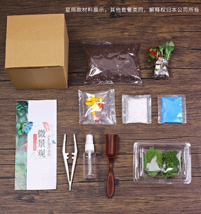 暖场活动 微景观生态瓶苔藓植物diy材料包玻璃球盆栽摆件礼品套装