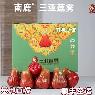 三亚南鹿一号有机莲雾新鲜水果家庭装原箱礼盒3斤顺丰包邮现摘