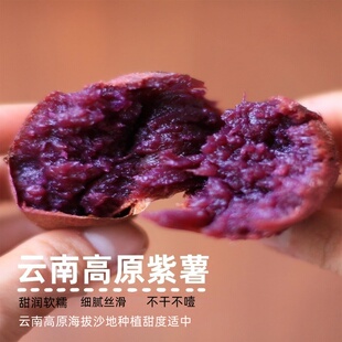 云南高原糖心紫薯蜜薯黑美人水晶软糯无丝番薯现挖紫心地瓜粗粮