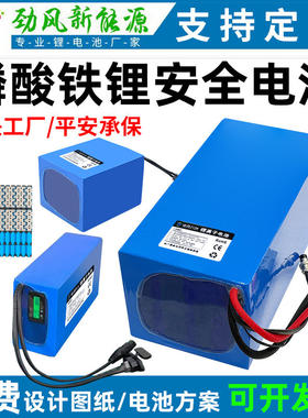 定制全新12V100AH48V50ah