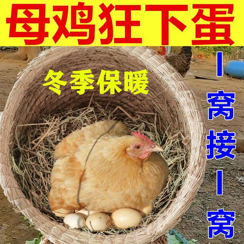 鸡窝草编母鸡搭建抱窝稻草四季大型户外鸽子巢芦丁草编防老式下蛋