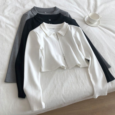 春秋季新款韩版短款修身显瘦拉链翻领长袖T恤卫衣短款薄外套上衣