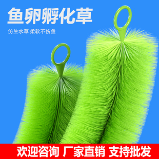 孵化草孵化毛刷锦鲤产卵草 鱼卵孵化刷金鱼繁殖水产养殖鱼巢