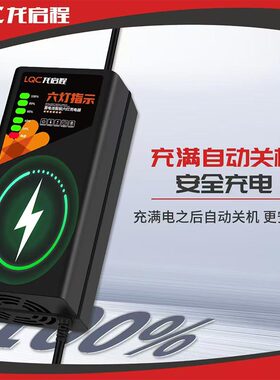 龙启程电动车充电器爱玛雅迪台铃铅酸电池48V60V72品字头T型通用