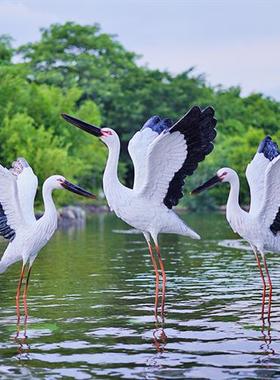 仿真户外雕塑白鹤摆件玻璃钢水池塘白鹭装饰花园林鸟景观仙鹤模型