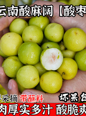 酸麻阔新鲜云南临沧孟定特产青酸枣子酸脆甜多汁孕妇水果整箱包邮