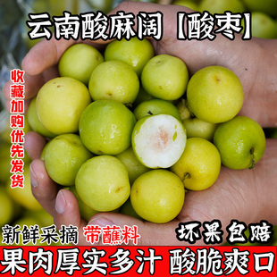 酸麻阔新鲜云南临沧孟定特产青酸枣子酸脆甜多汁孕妇水果整箱包邮