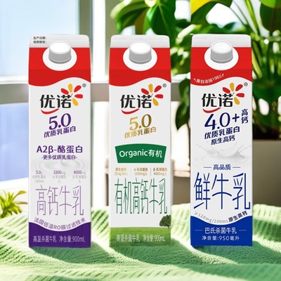 法式高钙牛乳儿童营养早餐奶
