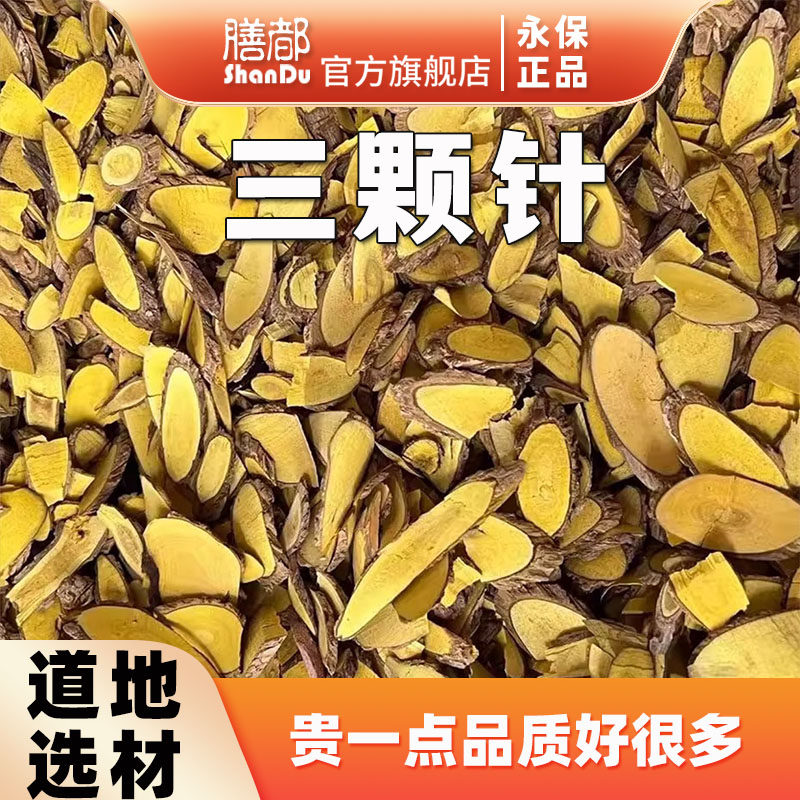 三颗针中药材钢针刺刺黄连刺黄柏土黄连山黄连山石榴铜针刺黄连藤