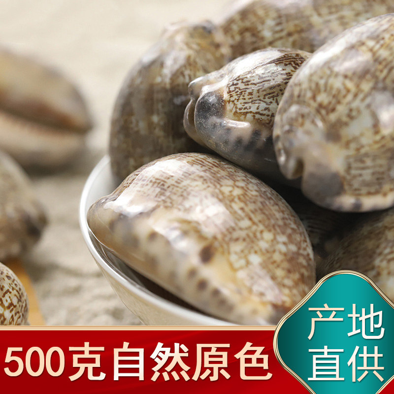 500克中药材紫贝齿砑螺文贝紫贝文贝南蛇牙齿狗支螺紫贝子
