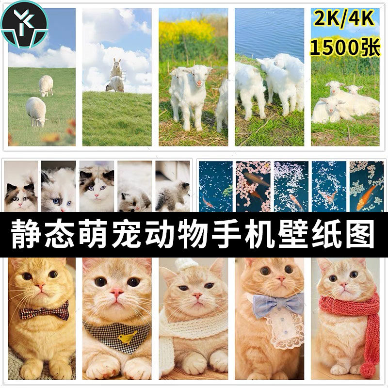 萌宠动物高清2k4k竖屏手机屏保壁纸海报广告背景图片平面设计素材