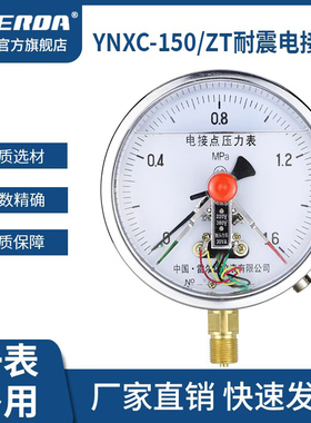 雷尔达 耐震电接点压力表抗震 YNXC150气压油压水压 压力控制器