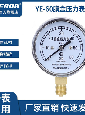 雷尔达仪表 膜盒压力表YE60 微压表千帕表 天然气管道压力表 燃气