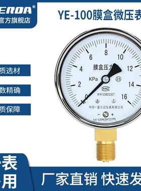 雷尔达仪表 YE100膜盒压力表微压管道千帕表 天然气管道 煤气燃气