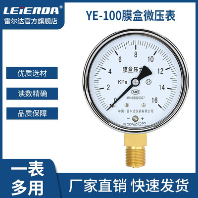 雷尔达仪表ye100膜盒燃气天然气