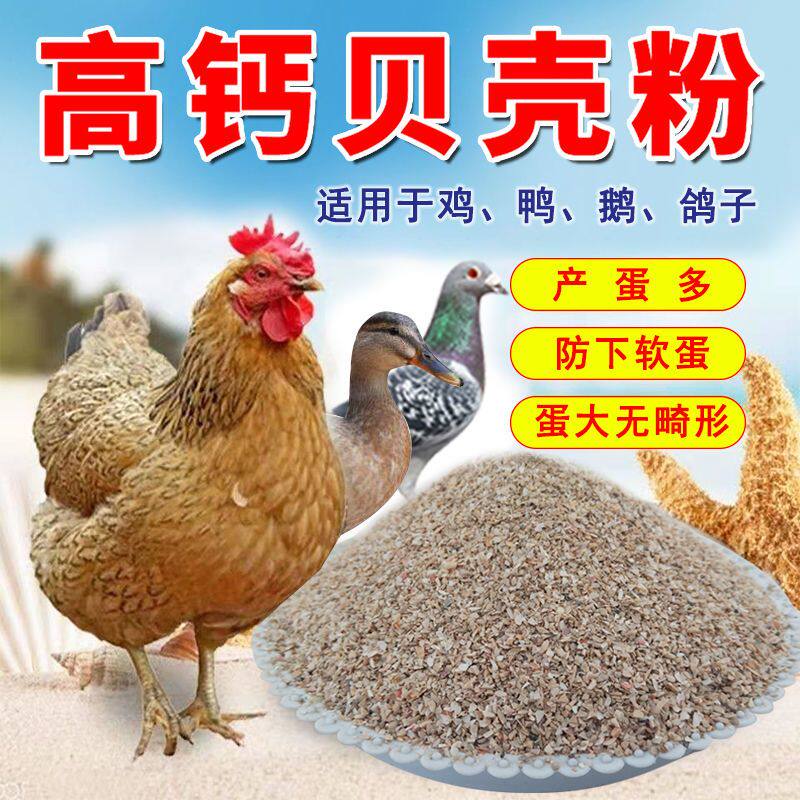 天然贝壳粉鸡鸭鹅鸽子补钙产蛋通动物营养品