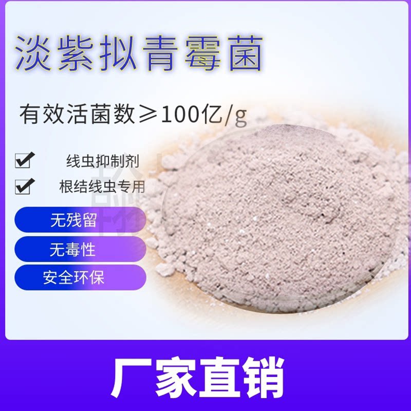 淡紫拟青霉菌根结线虫活菌灌根蔬菜果树微生物菌剂1千克厂家直销