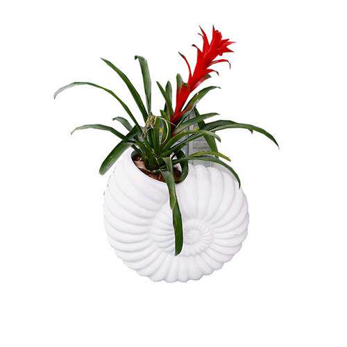 玻璃钢创意花盆海螺造型组合花钵户外园林种植池酒店落地组合花盆