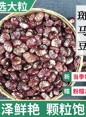云南斑马豆500g 荷包豆大肾豆农家自产小芸豆五彩豆五谷杂粮豆类