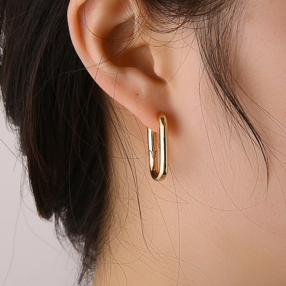 New Style Elegant Earring Cold ear pendants Women's Earrings