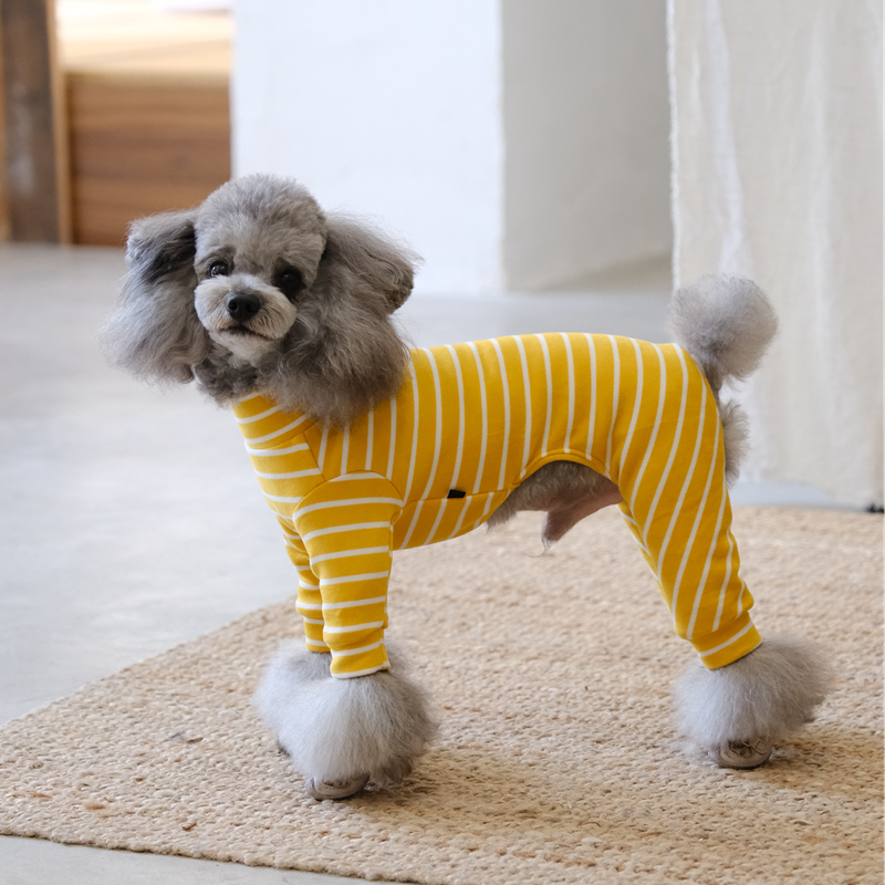 黑宝宝狗狗科技棉高弹力保暖