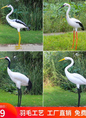 仿真羽毛黑鹳白鹳中白鹭大白鹭苍鹭丹顶鹤模型湿地水鸟展馆陈设