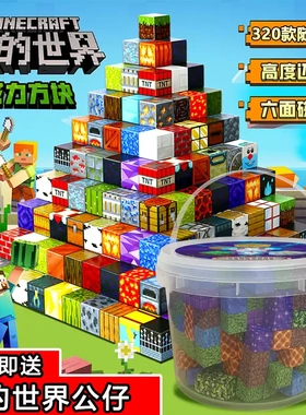 MC我的世界磁力方块玩具拼装磁吸积木拼搭创意百变立体超大颗粒