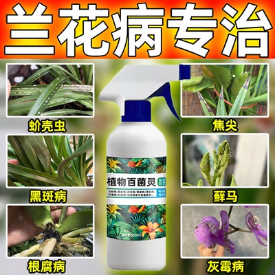 兰花病专用消杀药剂专兰花烂根