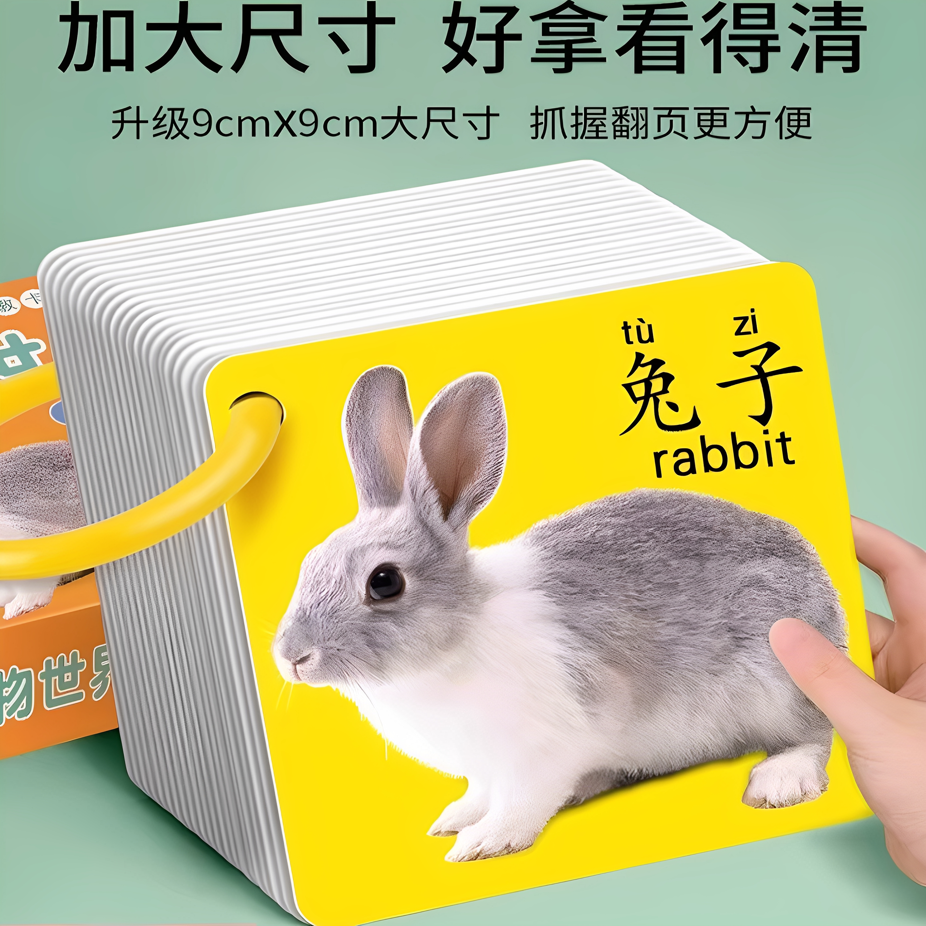 【启蒙】动物卡片早教认知