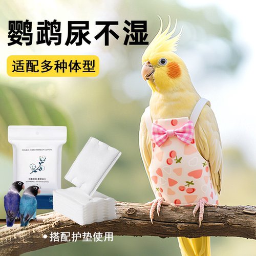 鹦鹉尿不湿屎兜一次性粪兜