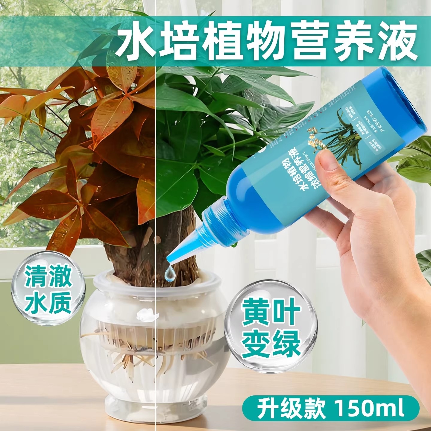 水培植物营养液富贵竹转运竹巴西木郁金香绿萝铜钱草通用肥料,鲜花速递/花卉仿真/绿植园艺,家庭园艺肥料,淘宝优惠券,粉丝福利购,淘宝优惠卷