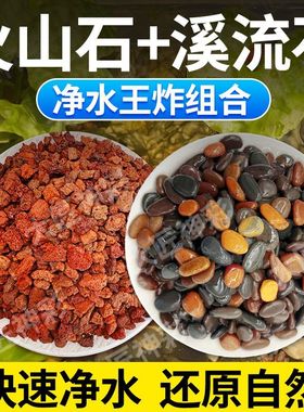 天然火山石溪流石乌龟天然底砂铺底颗粒原生水族鱼缸箱造景鹅卵石